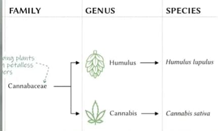 Ein Bild, das Text, Reihe, Screenshot, Diagramm enthält.
Automatisch generierte Beschreibung
